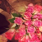 Profilfoto  Holly_Jean