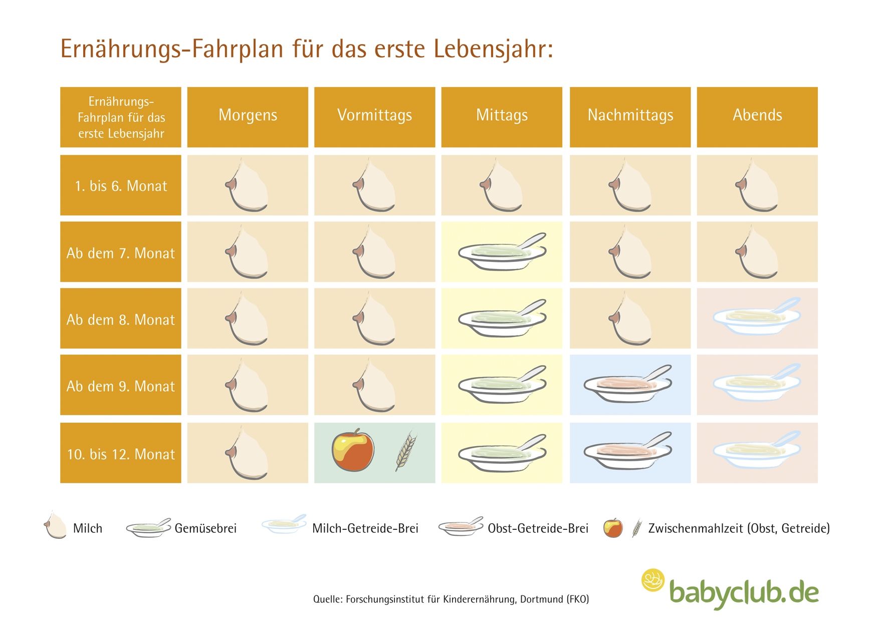 Beikostplan für das erste Lebensjahr - babyclub.de