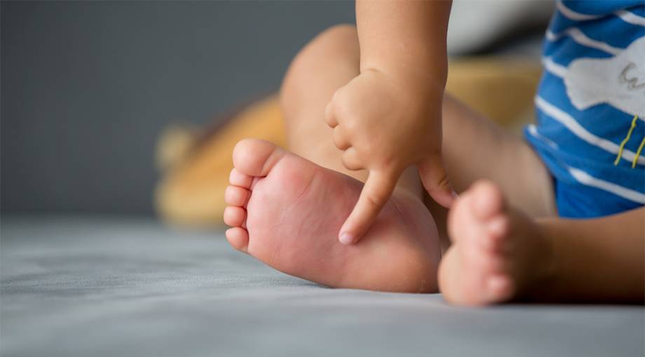 Wespenstich und Bienenstich